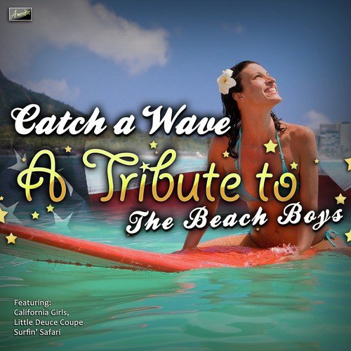 Catch a Wave - A Tribute to The Beach Boys