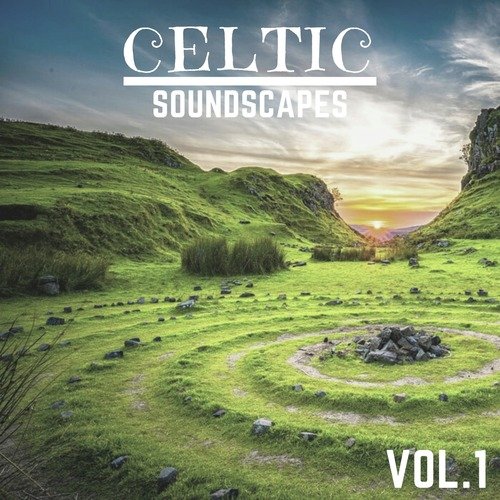 Le lucertole del folk cover art