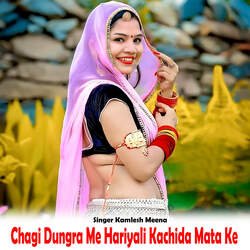 Chagi Dungra Me Hariyali Kachida Mata Ke-HT89WBh5cXo