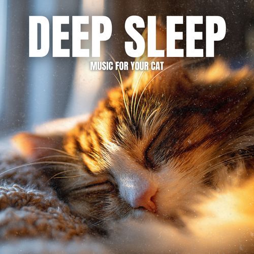 Calming Cats cover art