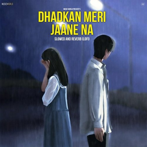 Dhadkan Meri Jaane Na (Slowed and Reverb - Lofi)