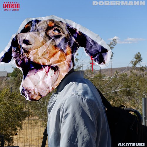 Dobermann_poster_image