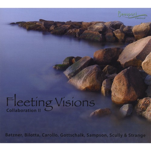 Fleeting Visions: Collaboration II