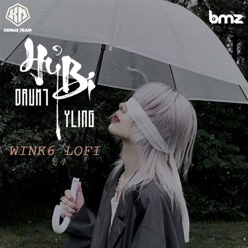 Hỷ Bi (WinK6 Lofi)