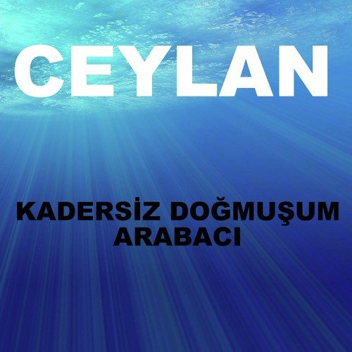 Kadersiz Doğmuşum / Arabacı_poster_image