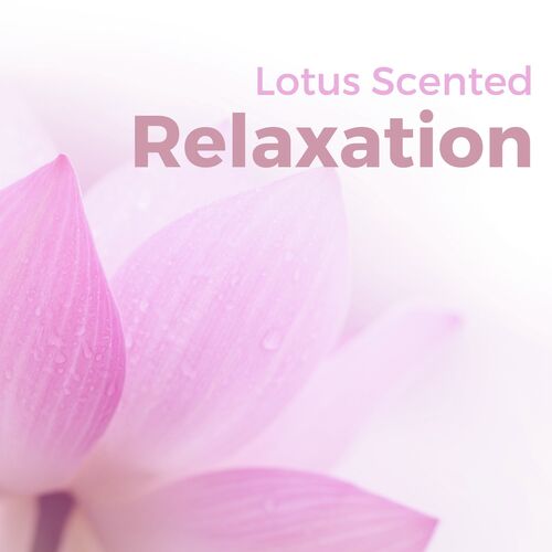 Lotus Scented Relaxation