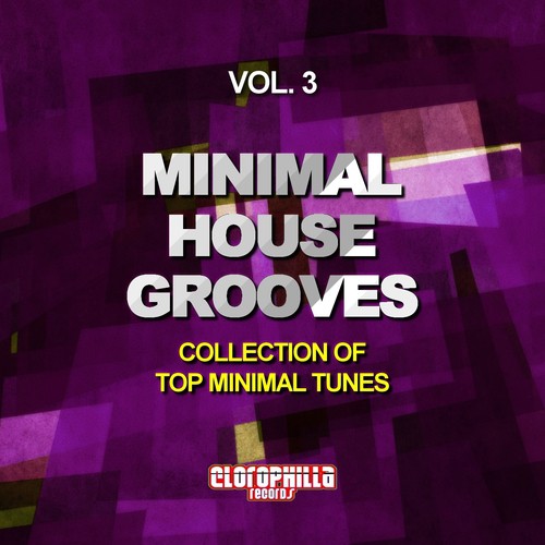Minimal House Grooves, Vol. 3 (Collection of Top Minimal Tunes)