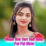 Moye Ave Teri Yad Janu Pal Pal Mein