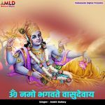 Om Namo Bhagwate Vasudevay