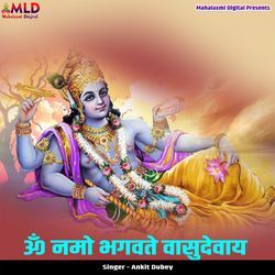 Om Namo Bhagwate Vasudevay