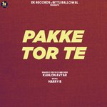 Pakke Tor Te