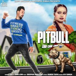 Pitbull by Satt Dhillon