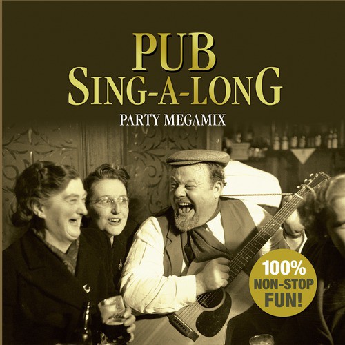 Pub Singalong Party Megamix_poster_image