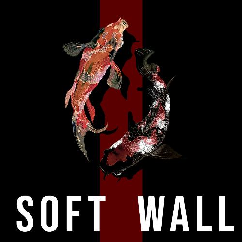 SOFT WALL_poster_image