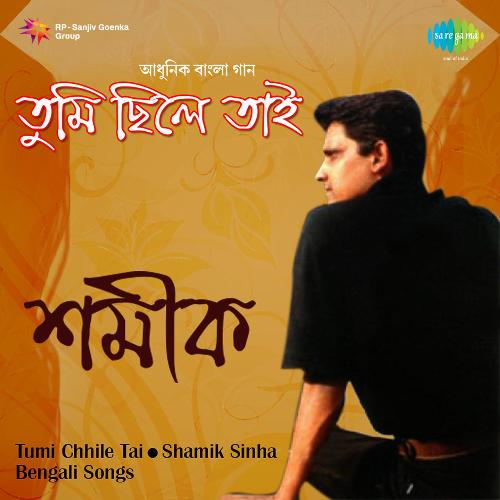 Shamik Sinha Tumi Chhile Tai