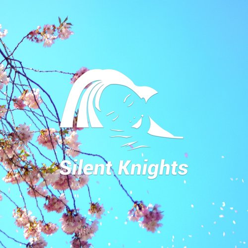 Night Spring Forest cover art