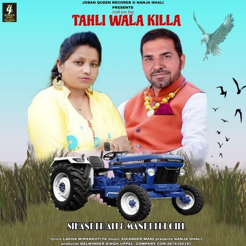 Tahli Wala Killa