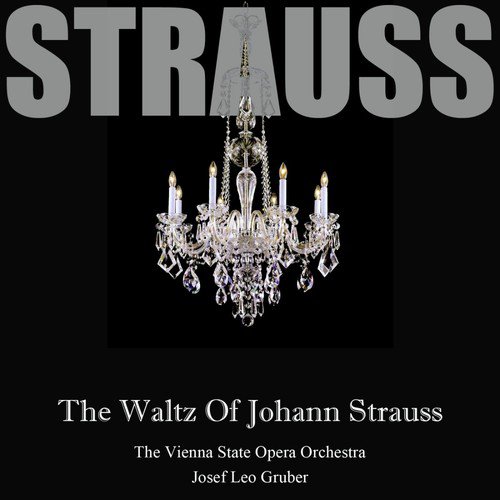 The Waltz Of Johann Strauss