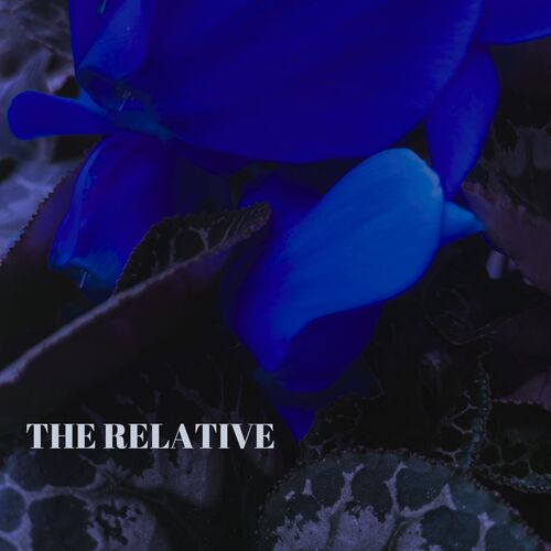 The relative_poster_image