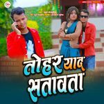 Tohaar Yaad Satawata