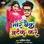 Tor Back Attack Kare