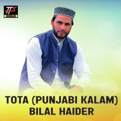 Tota (Punjabi Kalam)-Ay4uBBFfYUQ