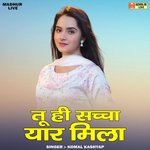 Tu hi sachcha yar mila (Hindi)