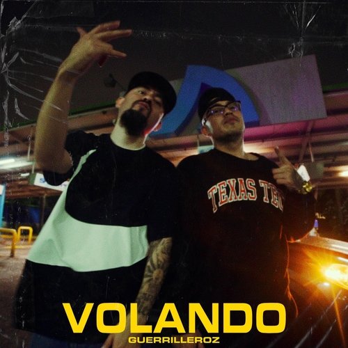 Volando (feat. Boldie) cover art