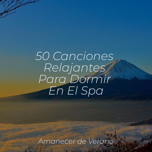 50 Canciones Relajantes Para Dormir En El Spa