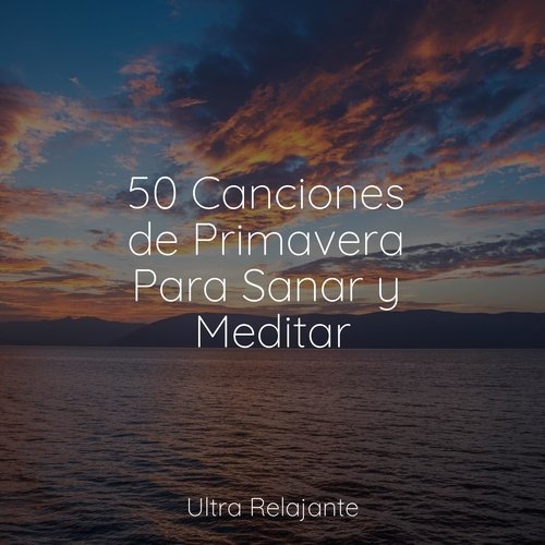 Canciones De Cuna cover art