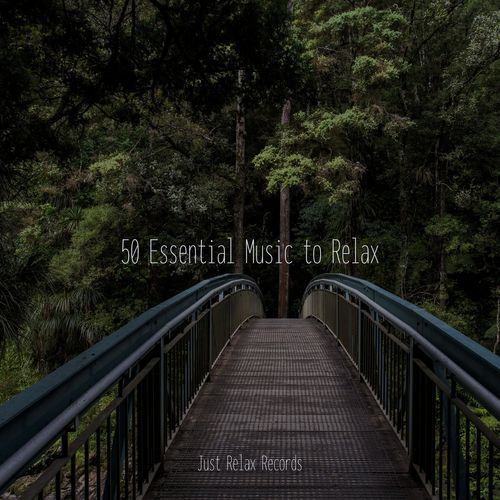 50 Essential Music to Relax