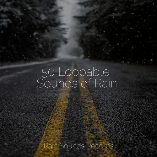 50 Loopable Sounds of Rain_poster_image