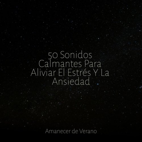 50 Sonidos Calmantes Para Aliviar El Estrés Y La Ansiedad