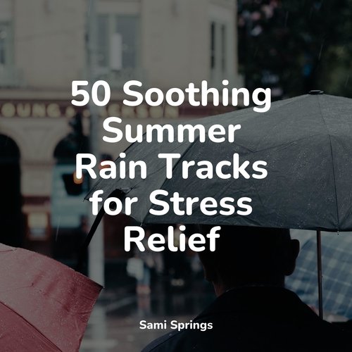 50 Soothing Summer Rain Tracks for Stress Relief_poster_image