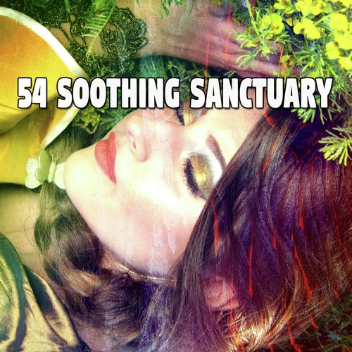 54 Soothing Sanctuary