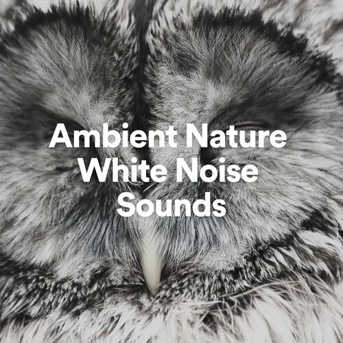 Ambient Nature White Noise Sounds, Pt. 29 cover art