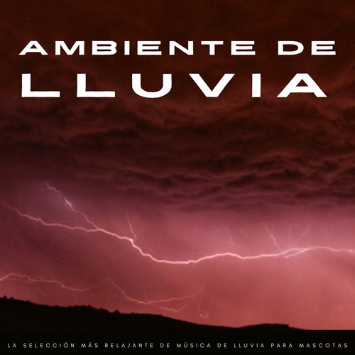 Música Para Perros cover art