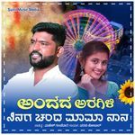 Andada aragili ninaga