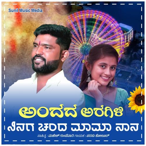 Andada aragili ninaga