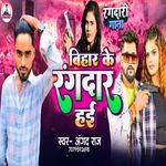 Bihar Ke Rangdar Hai