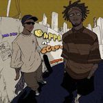 CHPPD & SCRWD