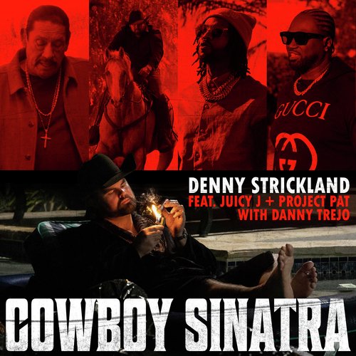 Cowboy Sinatra_poster_image