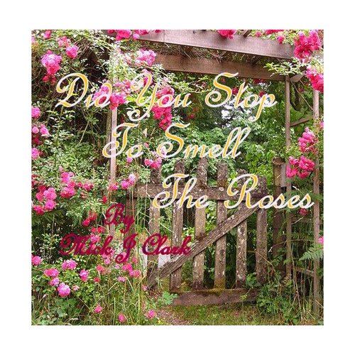 Did You Stop To Smell The Roses_poster_image