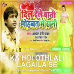 Dil Dele Bani Mobhat Me Rani (Top DJ Song)