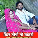 Dil Todi To Bandari