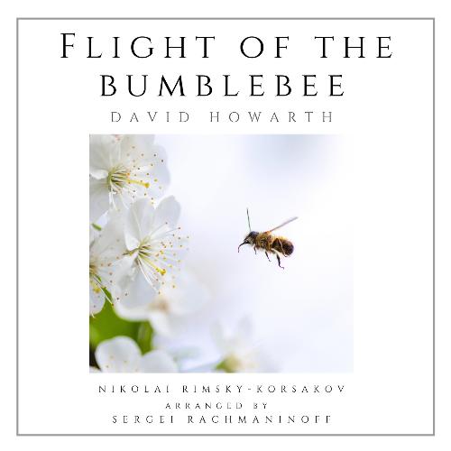 Flight of the Bumblebee (Solo Piano)_poster_image