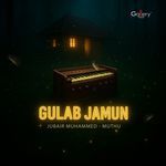 Gulab Jamun artwork