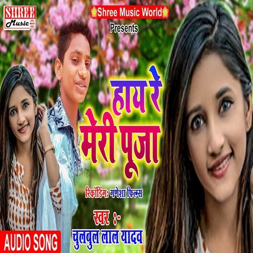 Haye Re Meri Pooja (bhojpuri song)