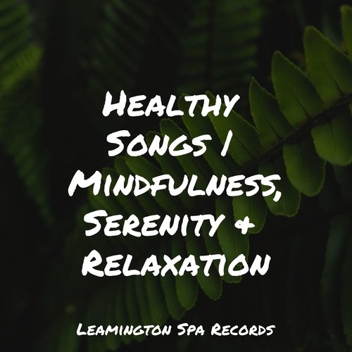 Focused, Relaxed cover art