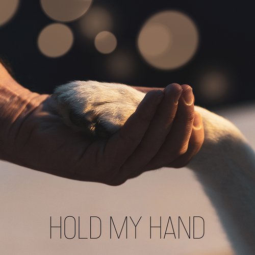 Hold My Hand